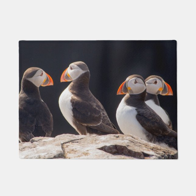 Puffins Doormat (Front)
