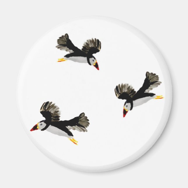 Puffins in Flight Coastal Bird Art Magnet (Front)