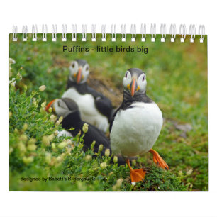 Puffins - little birds calendar