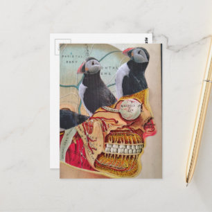 Puffins on my Brain Surreal mixed media collage Postcard