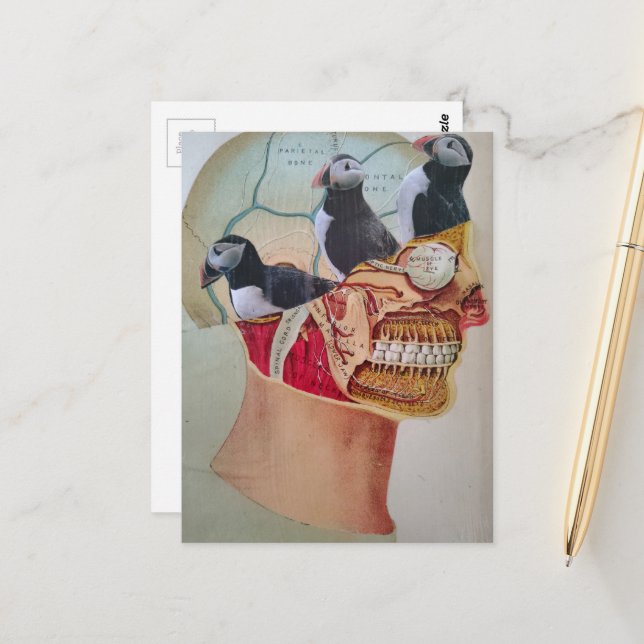 Puffins on the Brain Surreal mixed media collage  Postcard (Front/Back In Situ)