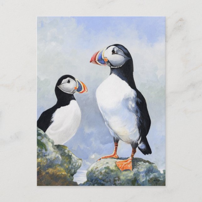 Puffins Post Card (Front)