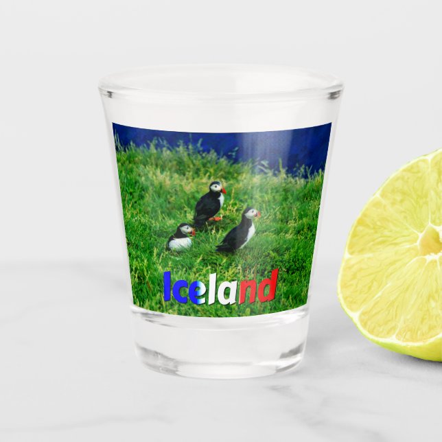 Puffins Shot Glass (Front)