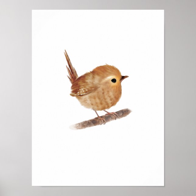 Puffy Wren Bird Print (Front)