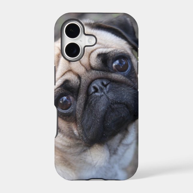 PUG (Back)