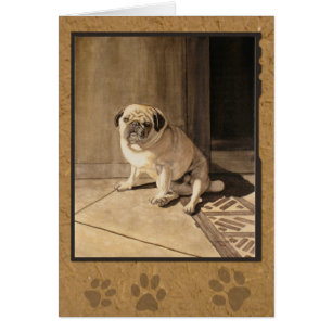 Pug