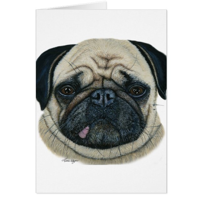 Pug (Front)