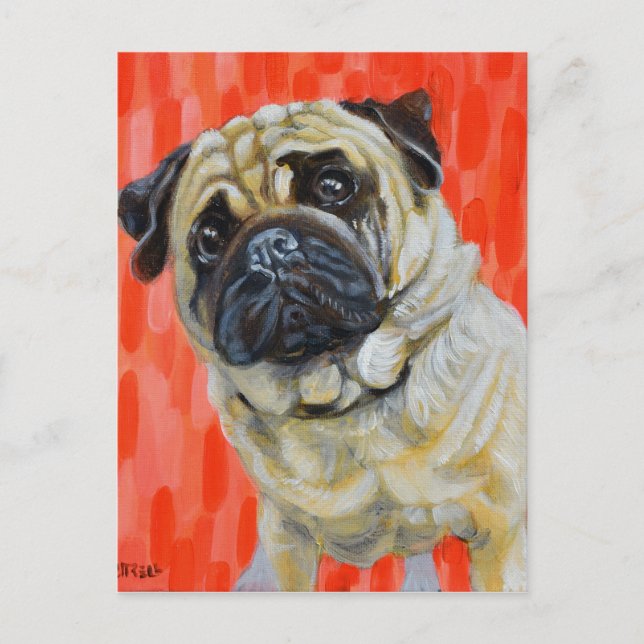 Pug 0range postcard (Front)