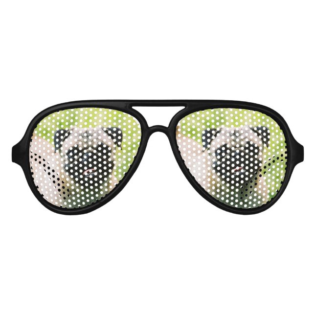 pug-13 aviator sunglasses (Front)