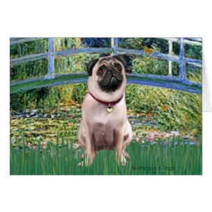 Pug 1 (fawn) - Bridge