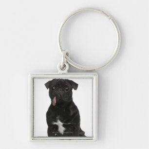 Pug (1 year old) sitting with its tongue hanging key ring