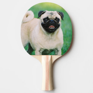 pug-30.jpg ping pong paddle