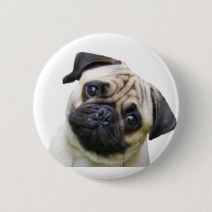 pug 6 cm round badge