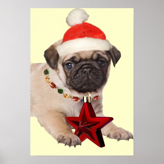 Pug A Christmas Star Print (Front)