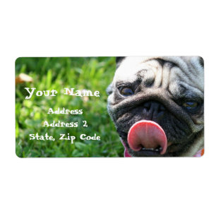 Pug Address Labels