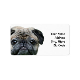 Pug address labels