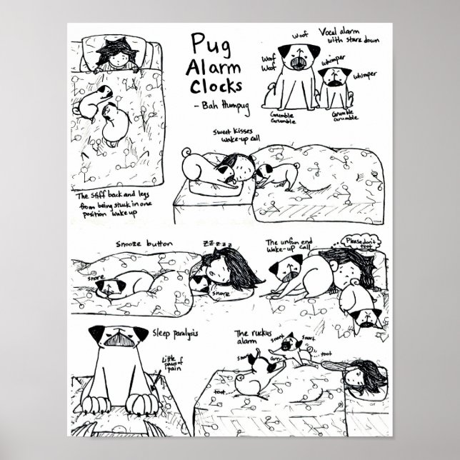 Pug Alarm Clocks Poster (Front)