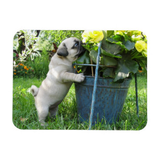 Pug and Flowers Magnet