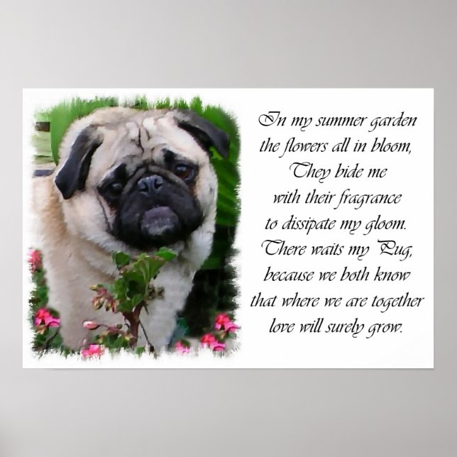 Pug Art Print (Front)