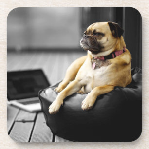 Pug at Rest Coaster