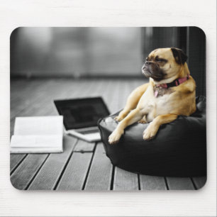Pug at Rest Mouse Mat