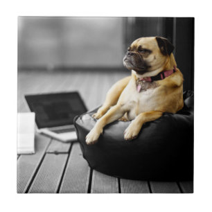 Pug at Rest Tile