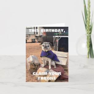 Pug Birthday Card   Lily the Pug   sarcastic