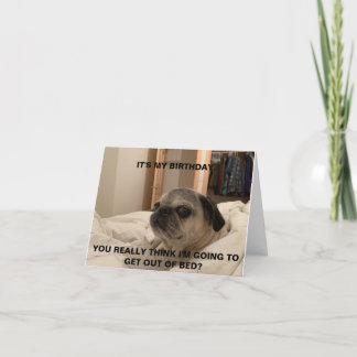 Pug Birthday Card, sarcastic card