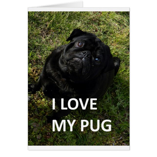 pug black love w pic (Front)