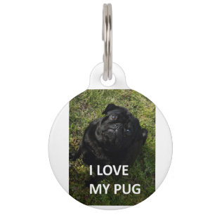 pug black love w pic pet tag