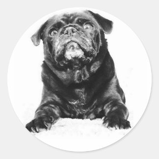Pug - Black PUG  Black & White Classic Round Sticker