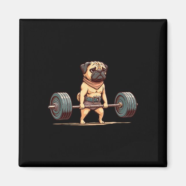 Pug Bodybuilder Gym Humour Weightlifting Workout M Magnet (Front)