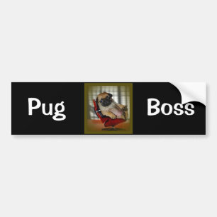 Pug Boss Bumper Sticker