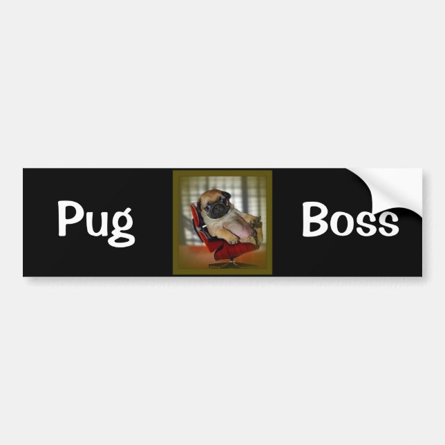 Pug Boss Bumper Sticker (Front)