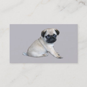 Pug Breeder Business Card
