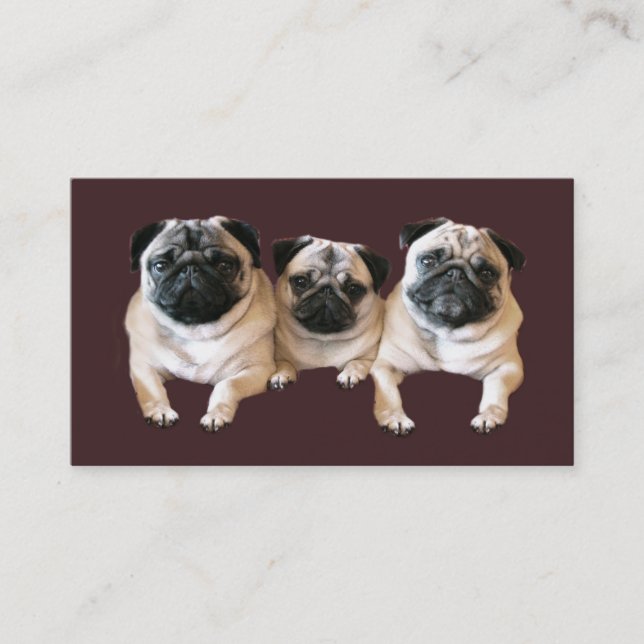 Pug Breeder Business Card (Front)