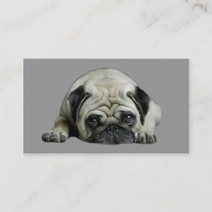 Pug Breeder Business Card