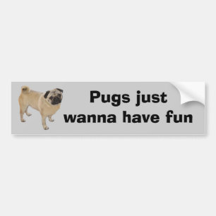 Pug Bumper Sticker