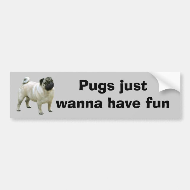 Pug Bumper Sticker (Front)