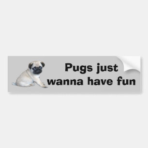 Pug Bumper Sticker
