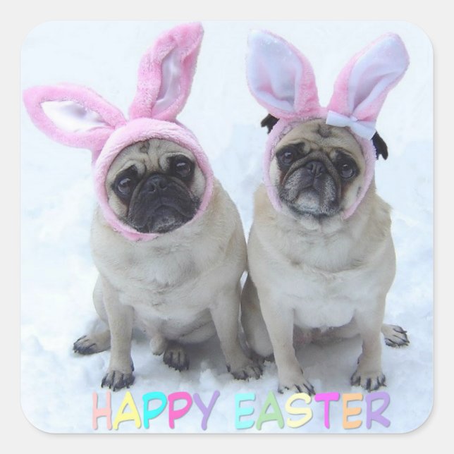 Pug bunny's square sticker (Front)