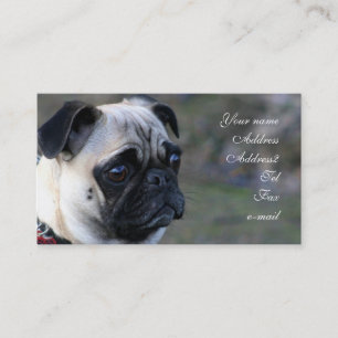 Pug business cards