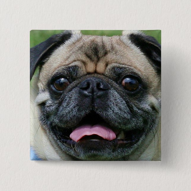 Pug Button (Front)