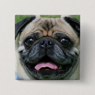 Pug Button