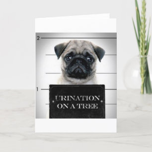 Pug Card