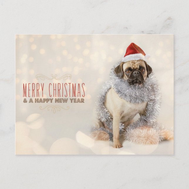 Pug Christmas Card (Front)