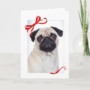 Pug Christmas Card