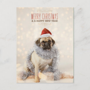 Pug Christmas Card