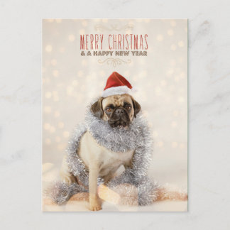 Pug Christmas Card