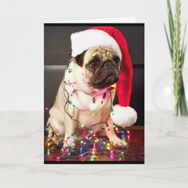 Pug Christmas Card (Front)